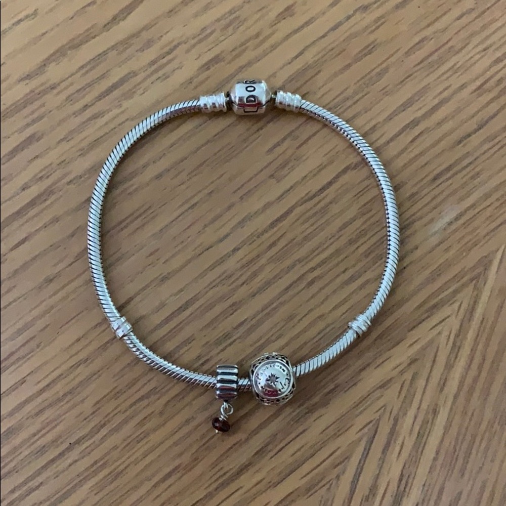 Pandora Bracelet and 2 Charms